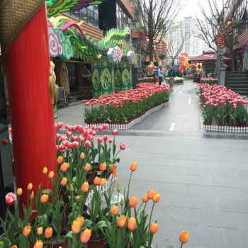 成都张崇民公寓(高车一路分店)酒店提供图片