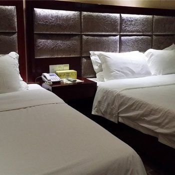 醴陵天玺商务宾馆酒店提供图片