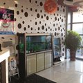 方圆商务酒店(南阳社旗店)外观图 方圆商务酒店(南阳社旗店)外观图