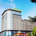 京山金山国际大酒店外观图 京山金山国际大酒店外观图