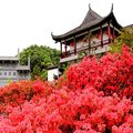 婺源丛溪庄园外观图 婺源丛溪庄园外观图