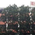 广州荔湾区花中旅店外观图 广州荔湾区花中旅店外观图