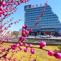 巴林左旗京都酒店外观图 巴林左旗京都酒店外观图