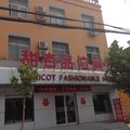 巨鹿甜杏品味时尚宾馆外观图 巨鹿甜杏品味时尚宾馆外观图
