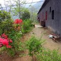 武当山太子坡神泉山庄外观图 武当山太子坡神泉山庄外观图