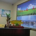 海盐红景天宾馆外观图 海盐红景天宾馆外观图