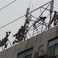 东营诚意宾馆外观图 东营诚意宾馆外观图