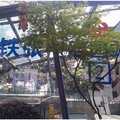 南京嘉年华公寓外观图 南京嘉年华公寓外观图