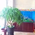 和硕鸿丰宾馆外观图 和硕鸿丰宾馆外观图