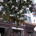 芒市丽红宾馆外观图 芒市丽红宾馆外观图
