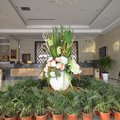 宁陵南国国际酒店外观图 宁陵南国国际酒店外观图