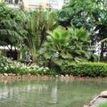 深圳小时代2号短租公寓(阳光棕榈园店)外观图 深圳小时代2号短租公寓(阳光棕榈园店)外观图