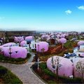 永泰云顶蛋居酒店(福州)外观图 永泰云顶蛋居酒店(福州)外观图