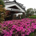 松阳新天地休闲园外观图 松阳新天地休闲园外观图