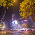 成都蓝堡铂金酒店(宽窄巷子店)外观图 成都蓝堡铂金酒店(宽窄巷子店)外观图