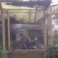 成都嘉嘉旅馆外观图 成都嘉嘉旅馆外观图