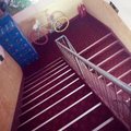 南乐客家宾馆外观图 南乐客家宾馆外观图