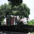 宅一天轰趴别墅(上海亦园店)外观图 宅一天轰趴别墅(上海亦园店)外观图