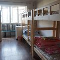 北京鸟巢景观家庭旅舍外观图 北京鸟巢景观家庭旅舍外观图