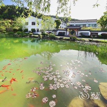 九华山五溪山色大酒店酒店提供图片