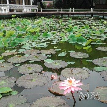 珠海市君悦来酒店用户上传图片