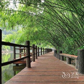 栾川重渡沟水景大酒店酒店提供图片