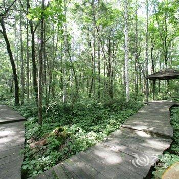 长白山蓝景花溪温泉酒店酒店提供图片