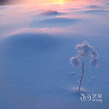 雪乡杜运生家庭旅馆酒店提供图片