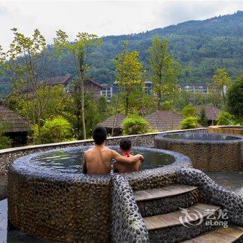 成都花水湾金陵酒店酒店提供图片