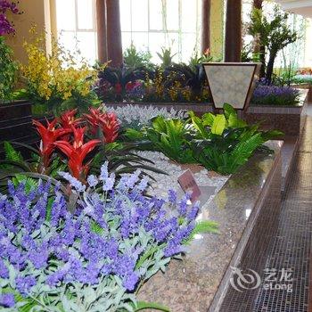 ���ݺ��ĳǾƵ�Ƶ��ṩͼƬ