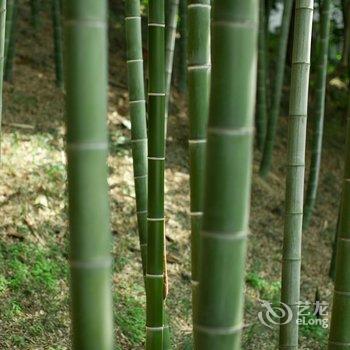 绍兴市上虞宾馆酒店提供图片