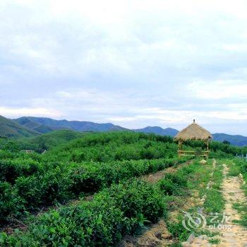 莫干山漫时光乡村旅店酒店提供图片