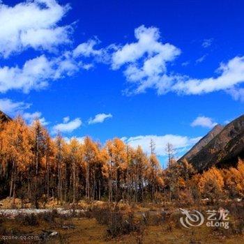 理县阿古藏式别墅山庄酒店提供图片