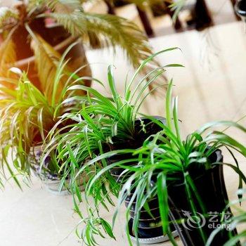 铜川花样年华商务宾馆酒店提供图片