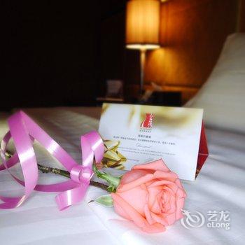 中山金莎商务酒店酒店提供图片