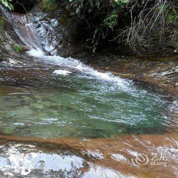 遂昌南尖岩志建农庄酒店提供图片