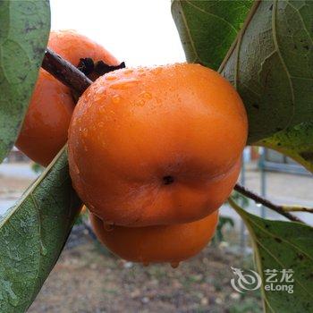 阳朔乡下人家花园酒店酒店提供图片