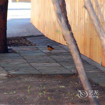 额尔古纳纳家行者客栈酒店提供图片