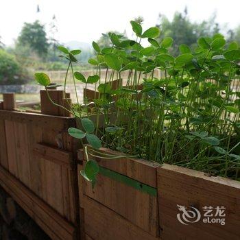 黄山西递景区昆仑国际青年旅舍酒店提供图片