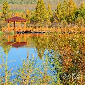 漠河北极泉度假村酒店提供图片