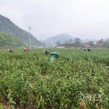 泾县汀溪御府山庄酒店提供图片