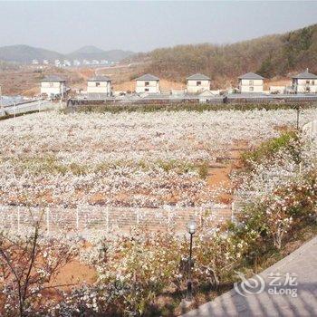 大连北马山庄酒店提供图片