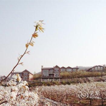 大连北马山庄酒店提供图片