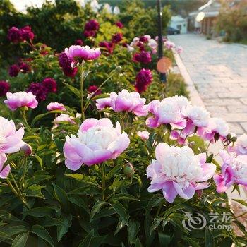 大连北马山庄酒店提供图片