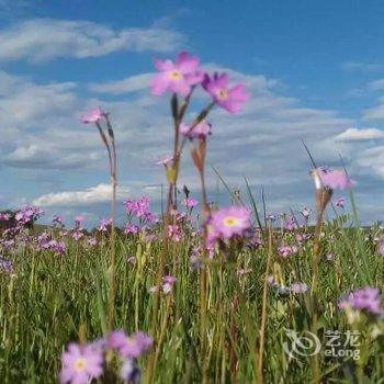 赤峰克什克腾旗希林奈尔度假村酒店提供图片