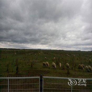 张北草原天路农庄酒店提供图片