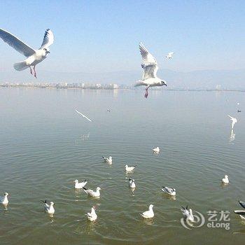 西昌邛海宾馆酒店提供图片