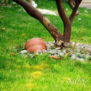 上海蓝派别墅派对轰趴馆(美国馆)酒店提供图片