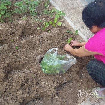 野三坡大董农家乐酒店提供图片