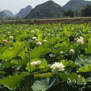 普者黑山水田园驿站酒店提供图片